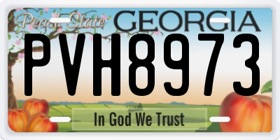 GA license plate PVH8973