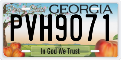 GA license plate PVH9071