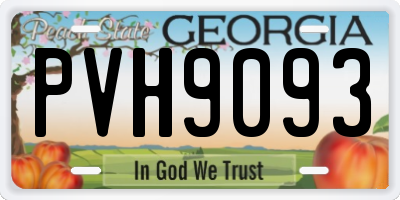 GA license plate PVH9093