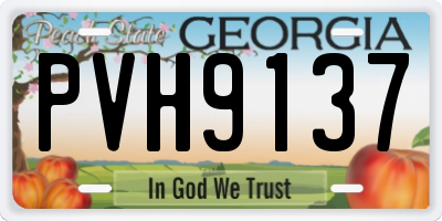 GA license plate PVH9137
