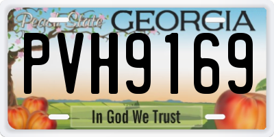 GA license plate PVH9169