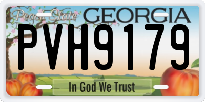 GA license plate PVH9179