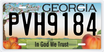GA license plate PVH9184