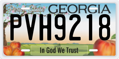 GA license plate PVH9218