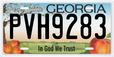 GA license plate PVH9283