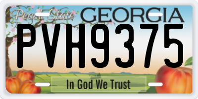 GA license plate PVH9375