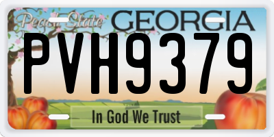 GA license plate PVH9379