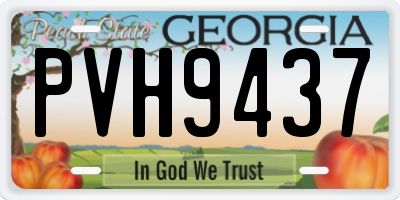 GA license plate PVH9437