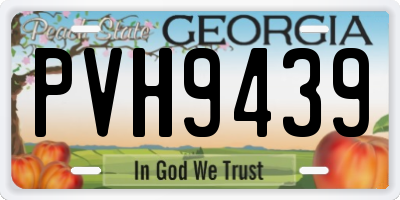 GA license plate PVH9439