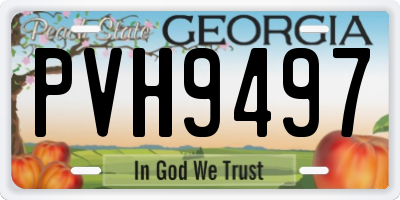 GA license plate PVH9497