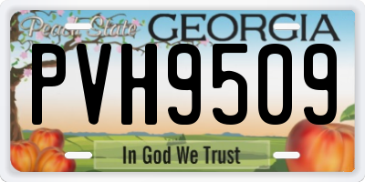GA license plate PVH9509