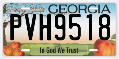 GA license plate PVH9518