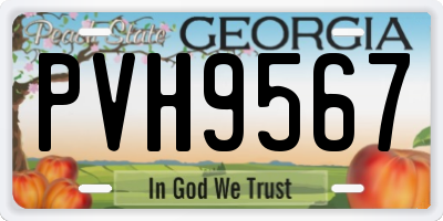 GA license plate PVH9567