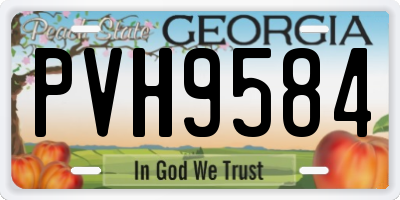 GA license plate PVH9584