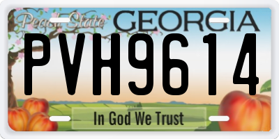 GA license plate PVH9614