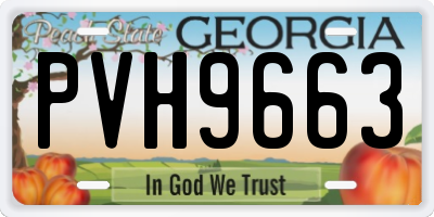 GA license plate PVH9663