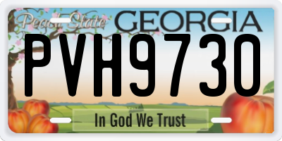 GA license plate PVH9730