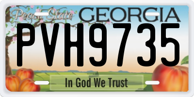 GA license plate PVH9735
