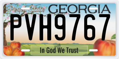 GA license plate PVH9767