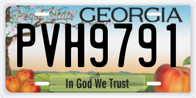 GA license plate PVH9791