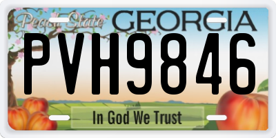 GA license plate PVH9846