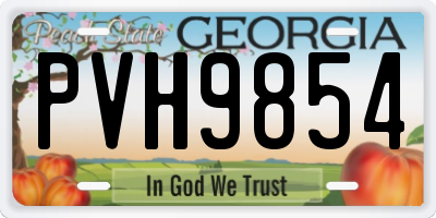 GA license plate PVH9854