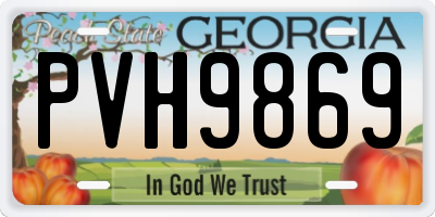 GA license plate PVH9869