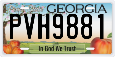 GA license plate PVH9881