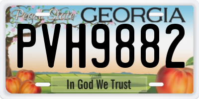 GA license plate PVH9882
