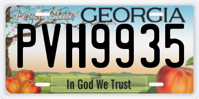 GA license plate PVH9935