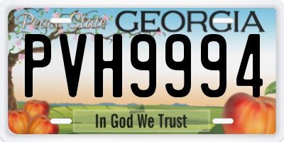 GA license plate PVH9994