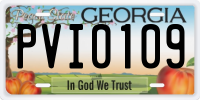 GA license plate PVI0109