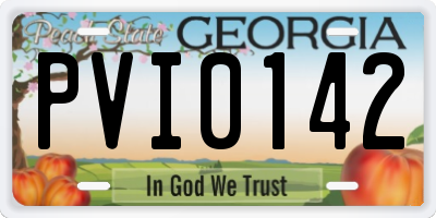 GA license plate PVI0142