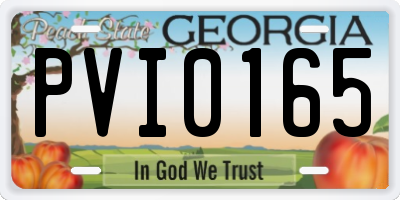GA license plate PVI0165