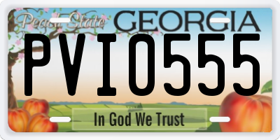 GA license plate PVI0555