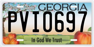 GA license plate PVI0697