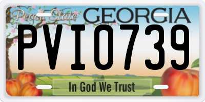 GA license plate PVI0739