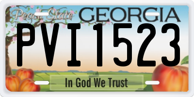 GA license plate PVI1523