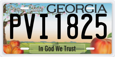 GA license plate PVI1825