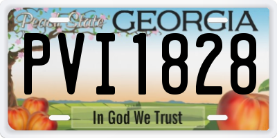 GA license plate PVI1828