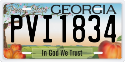 GA license plate PVI1834