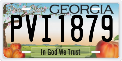 GA license plate PVI1879