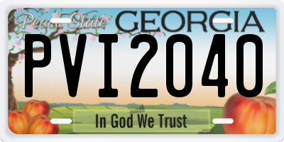 GA license plate PVI2040