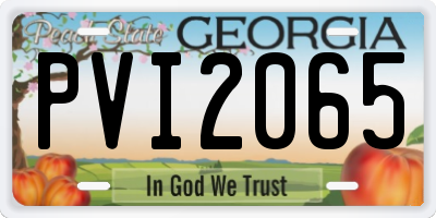 GA license plate PVI2065