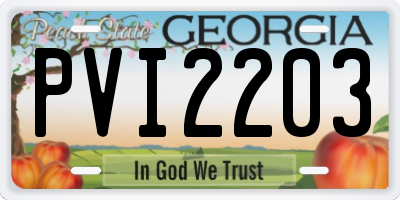 GA license plate PVI2203