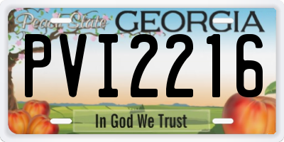 GA license plate PVI2216