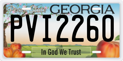 GA license plate PVI2260
