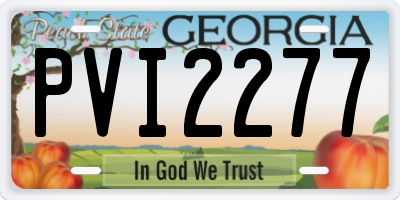 GA license plate PVI2277