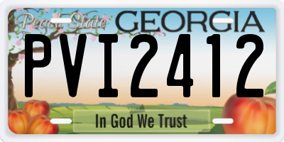 GA license plate PVI2412