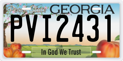 GA license plate PVI2431